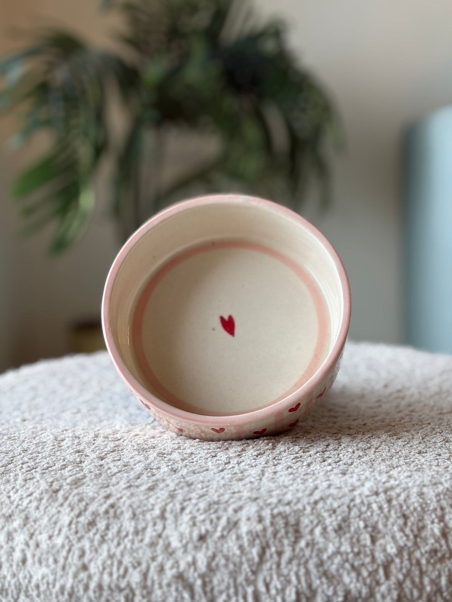 Kawaii Heart Check Bowl snack & breakfast bowl